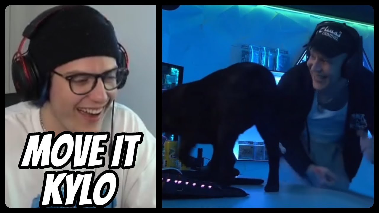 Niek REAGIERT auf Good Twitch Germany Content (brazilian rare) | 22