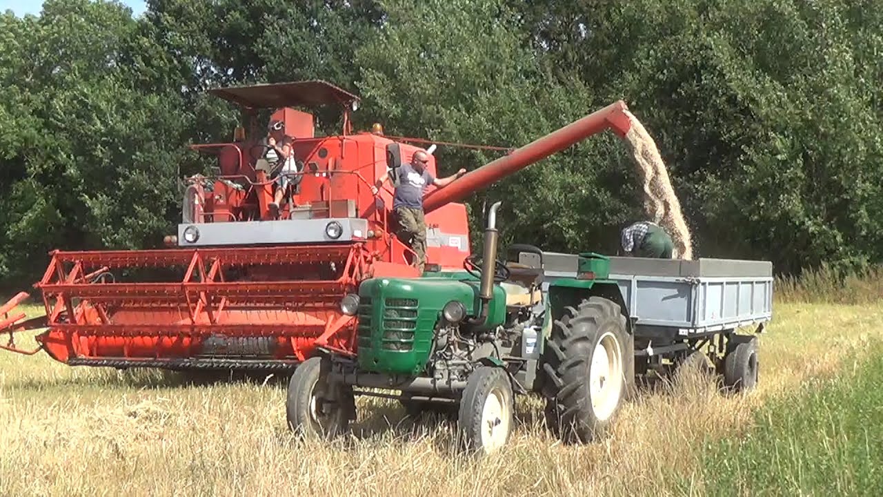 Łubinowe żniwa Bizona Super Z057