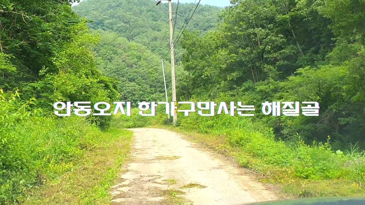 안동길안면대곡리 막다른길 //  할아버지 한분만사는오지
