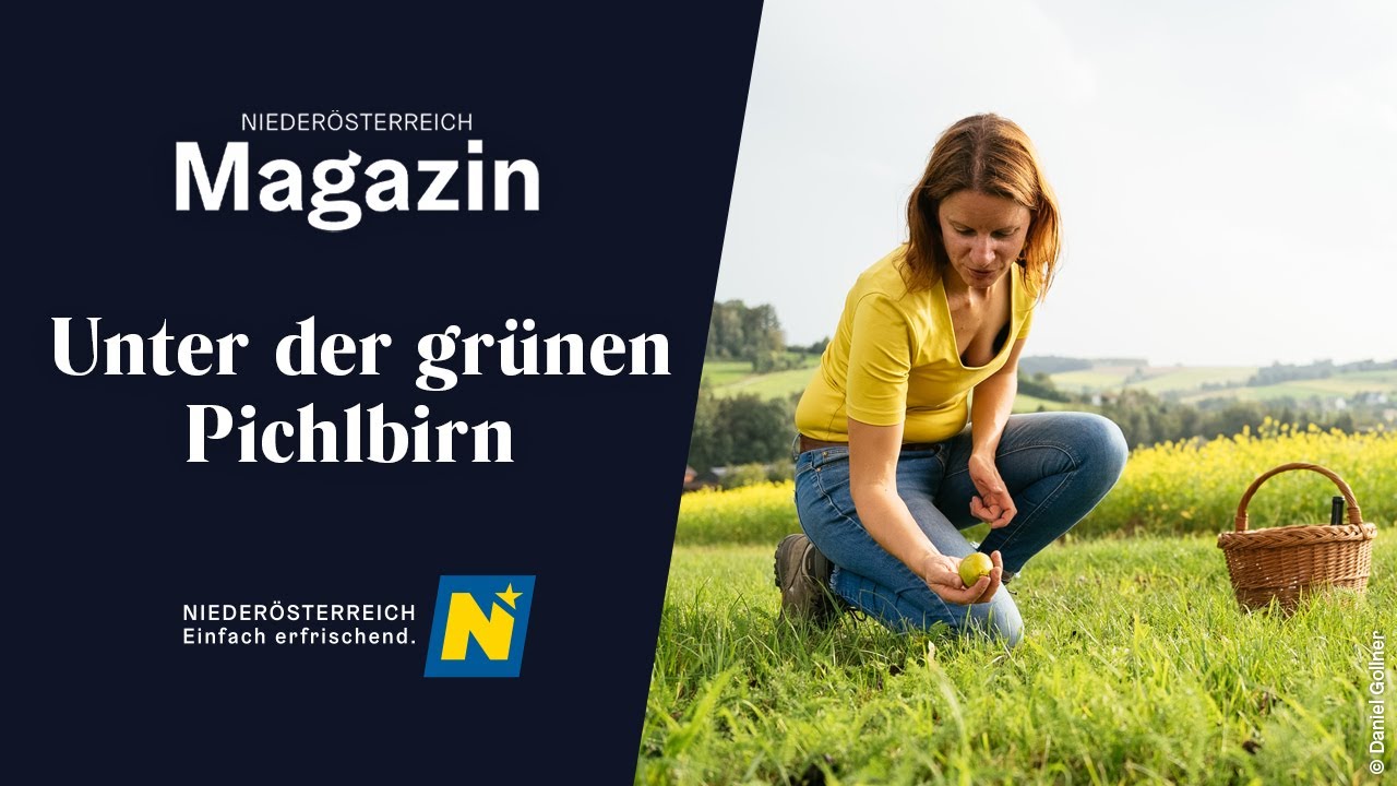Unter der grünen Pichlbirn