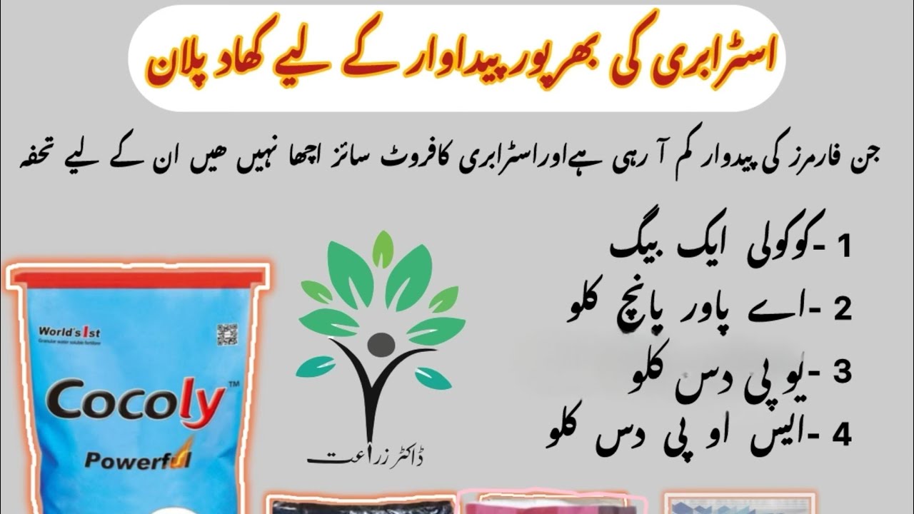 Best fertiliser for strawberry Cocoly & A-Power