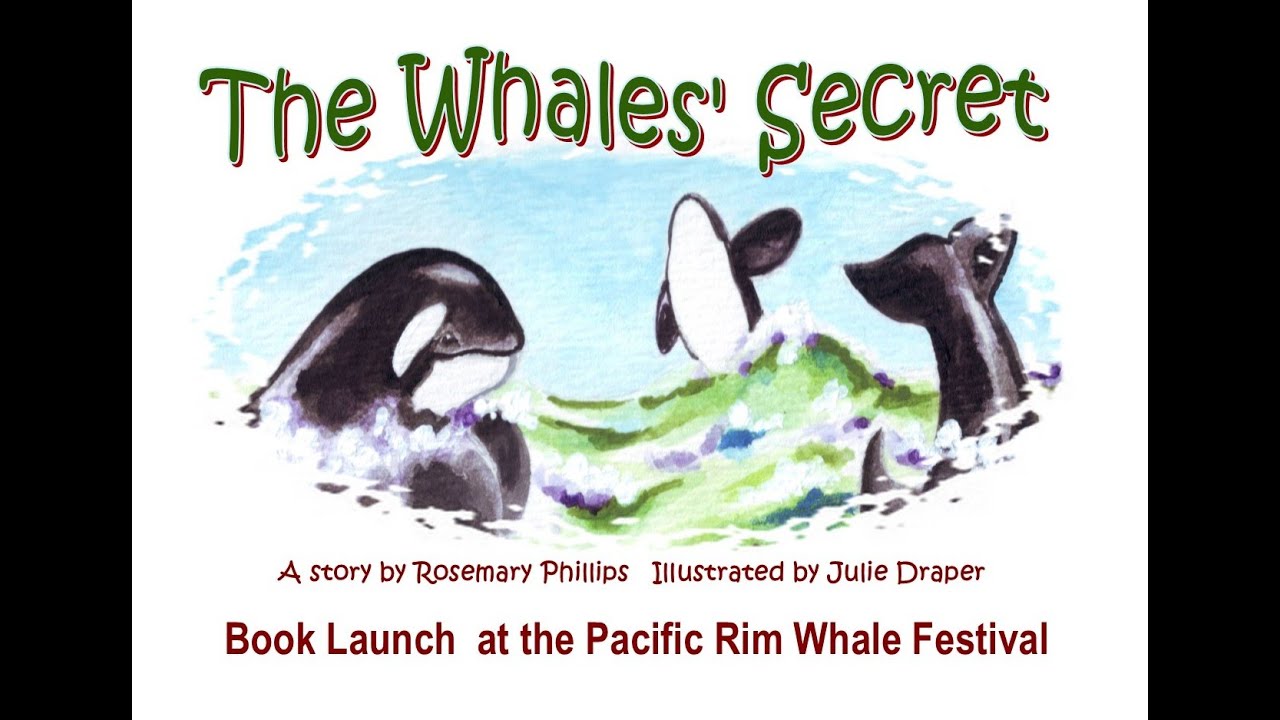 The Whales Secret - Book Launch and Whales!