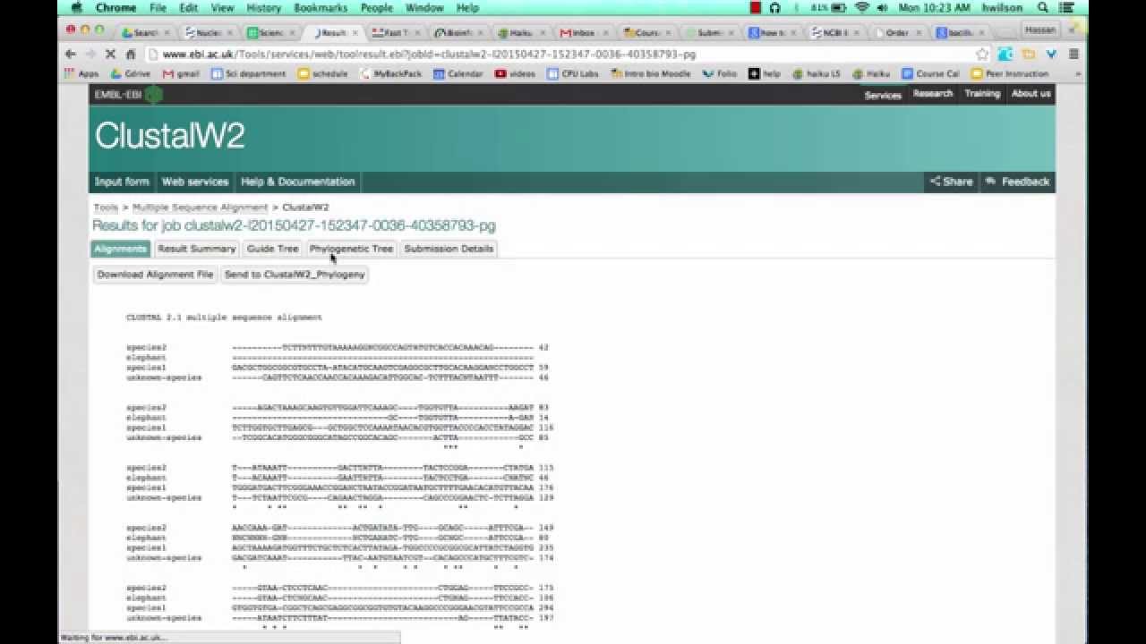 Align multiple DNA sequences CLUSTALW