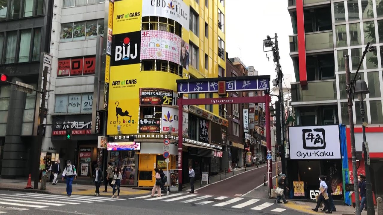 【Japanese food】Stroll in Shibuya's Dogenzaka area and Japanese lunch | Tokyo, Japan |  2022