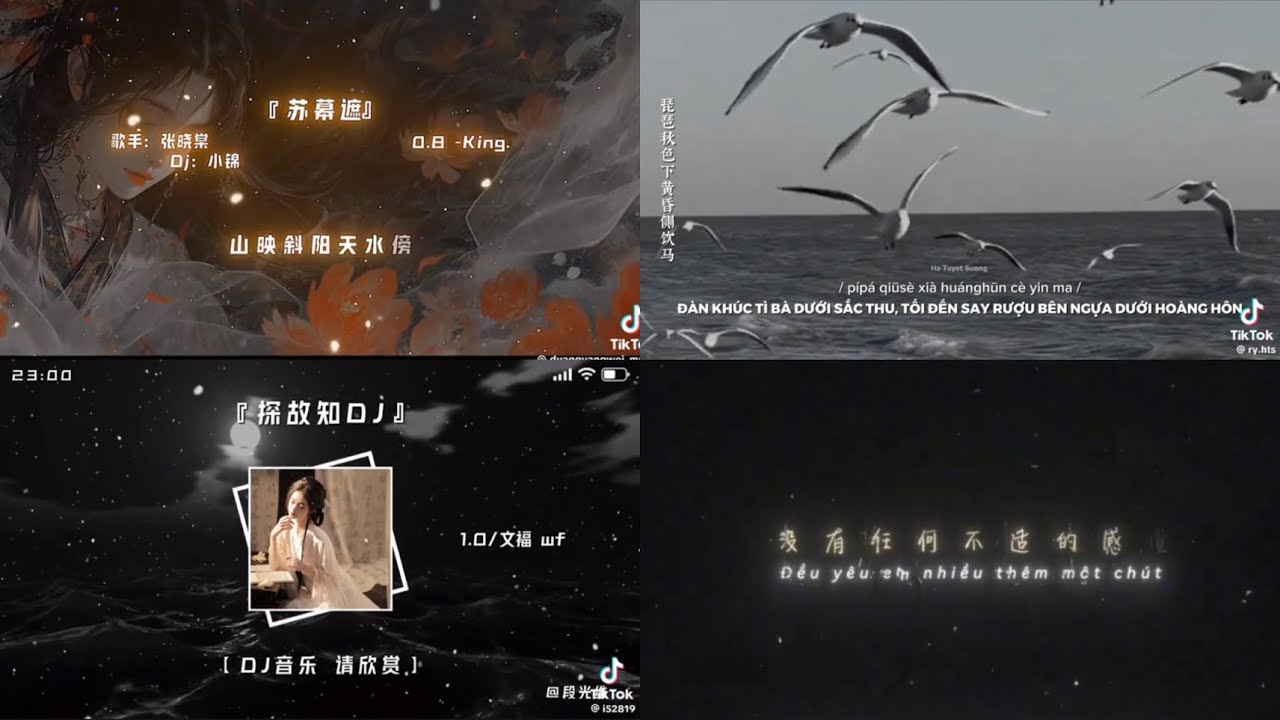 Tổng Hợp Nhạc Trung, Nhạc Nhật Siêu Cuốn Trên TikTok #musica