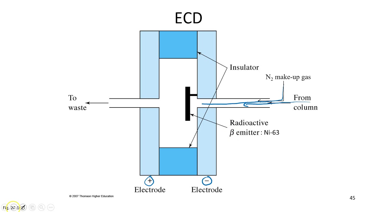 ECD