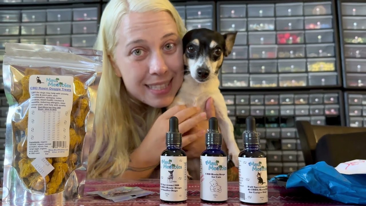 The Best CBD Treats for Dogs of All Sizes, Dog CBD Oil for Anxious Pets at www.MauiMedibles com 2025