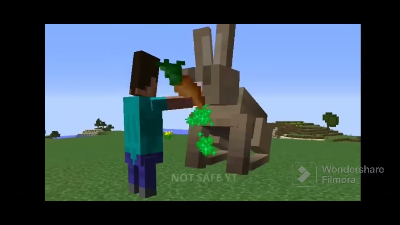 Minecraft pero !RARO!