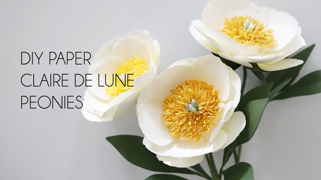 How To Make Paper Flower Claire De Lune Peony with Cardstock Paper (Cricut, wedding DIY flowers)