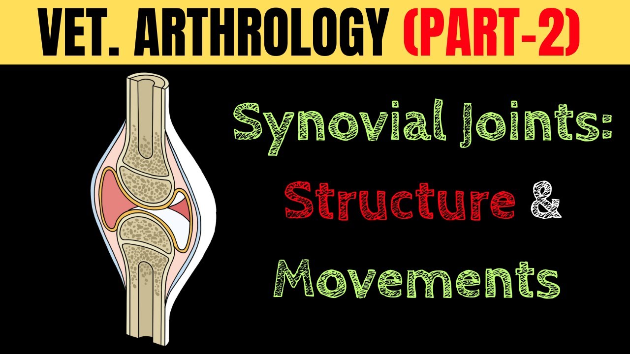 Synovial Joints: Structure & Movements | Veterinary Anatomy Simplified