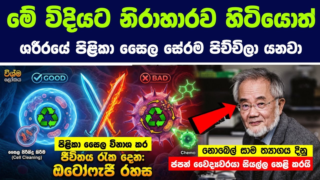 නොබෙල් සාම ත්‍යාගය දිනු ජපන් වෛද්‍යවරයා පිළිකාව පරදන රහස ලොවට හෙළි කරයි | The Mystery of Autophagy