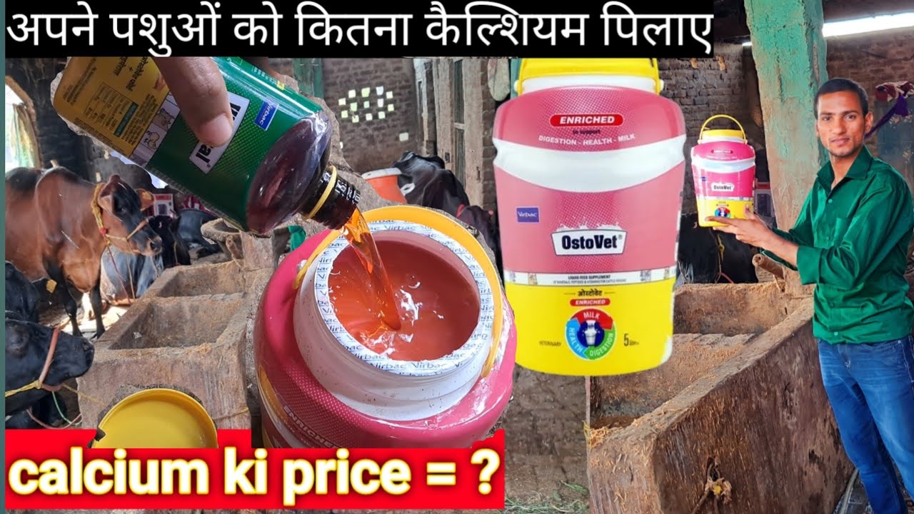 अपने पशुओं को कैल्शियम कितना दे/ostove calcium price,,ostovet + vimeral use,ostovet kb khilaye,#cow