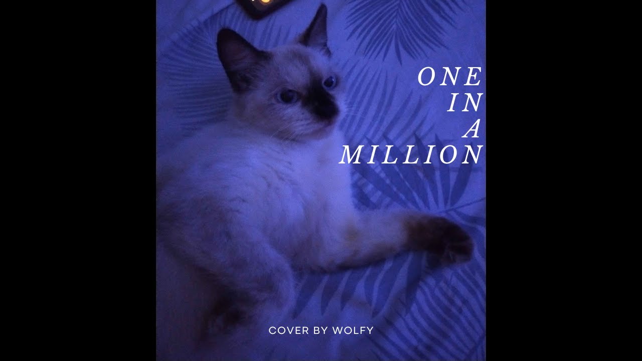 One In A Million - NeYo (Reggae Version) Cover by wolfy
