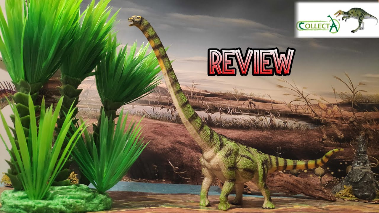 REVIEW DAXIATITAN BINGLINGI DINOSAURIOS SAUR&Oacute;PODOS!! // COLLECTA