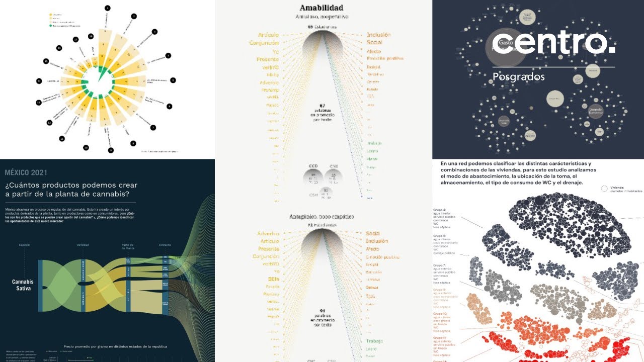 Presentaci&oacute;n de proyectos finales Visualizaci&oacute;n de Datos