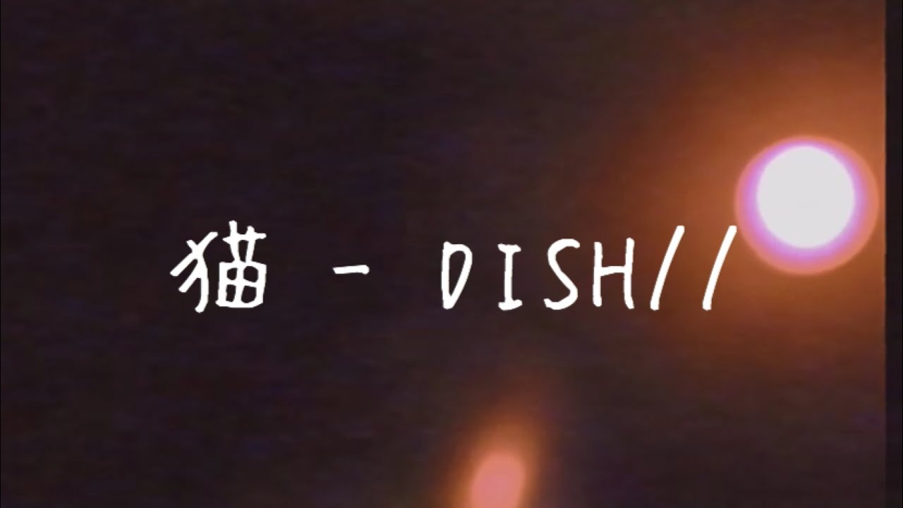 猫 - DISH//　(弾き語りcover)