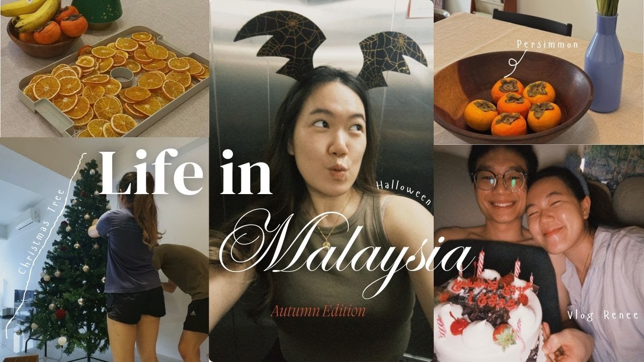 Life in Malaysia | 马来西亚的日常 | Getting ready before the holidays, setting up Christmas Tree
