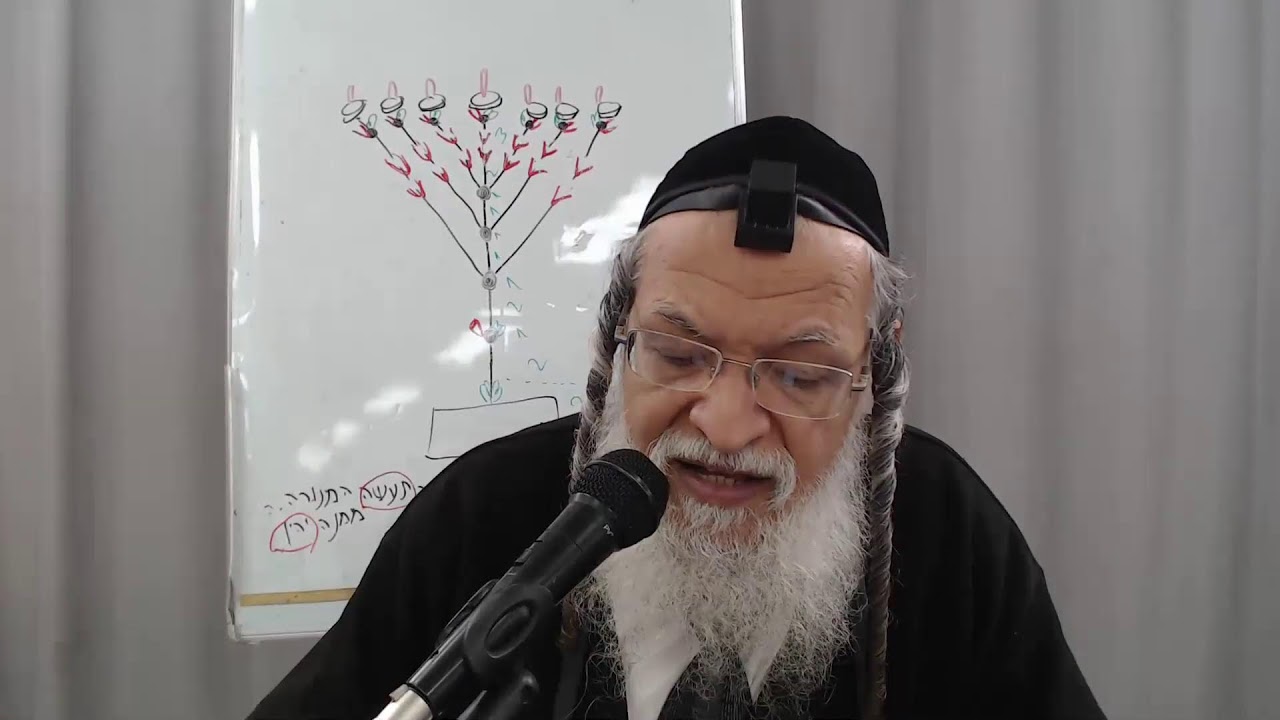 דף יומי מסכת מנחות דף כח ע