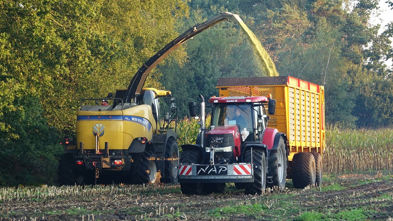 Mais Silage | New Holland FR600 + Case IH + Valtra | Nap | Renswoude | 2022