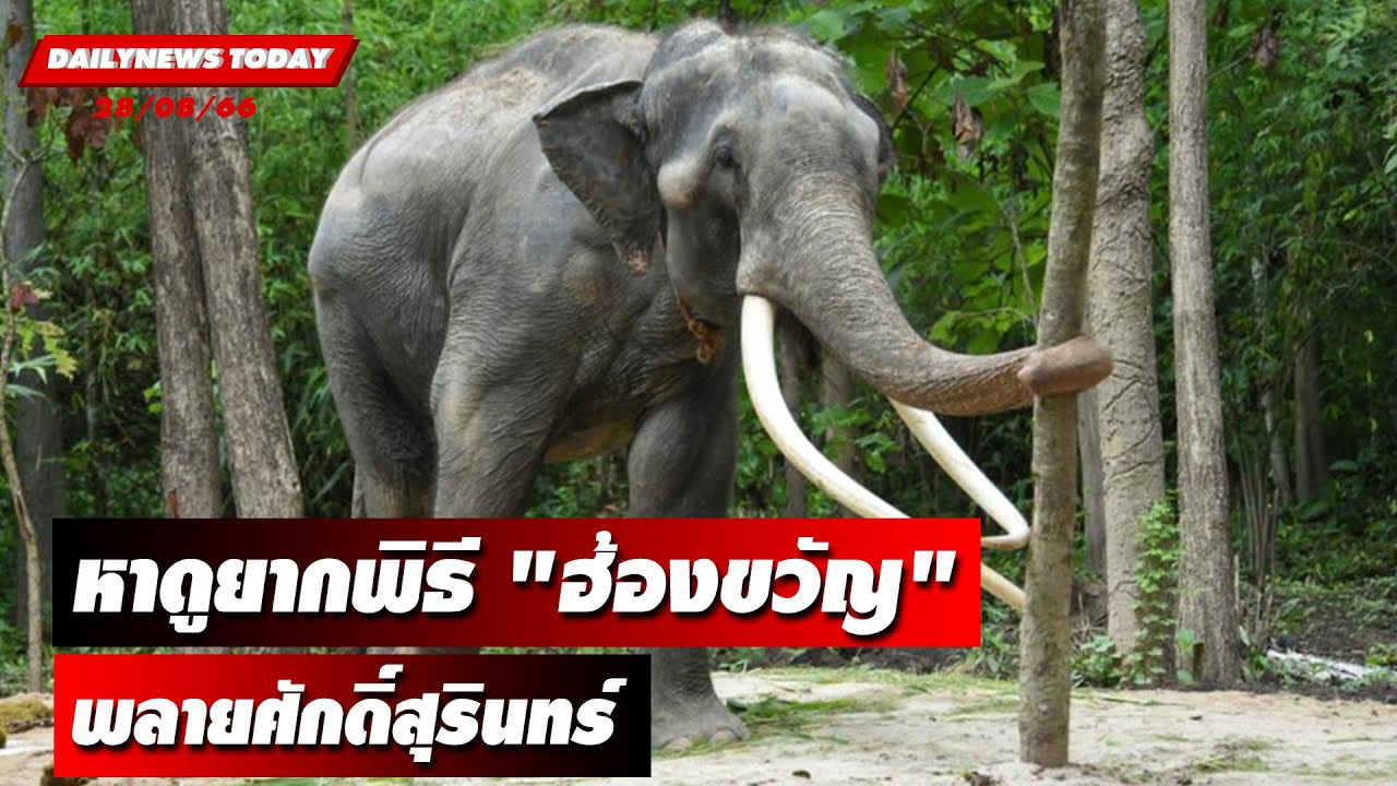 หาดูยากพิธี 