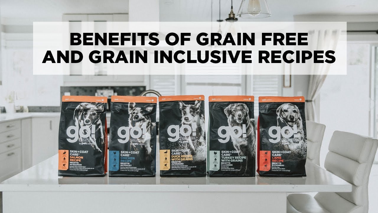 The Benefits of Grain Free and Grain Inclusive Recipes | GO! SOLUTIONS