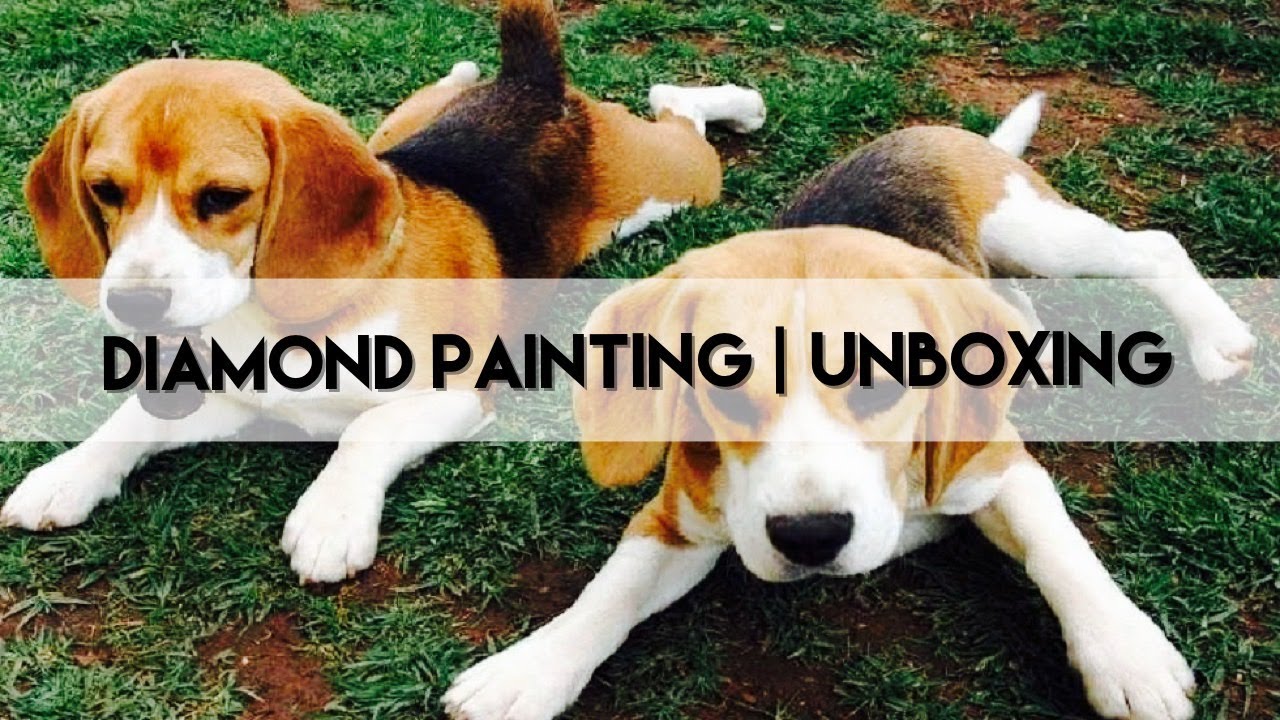 Diamond Painting - Unboxing | Newhomy Pt1