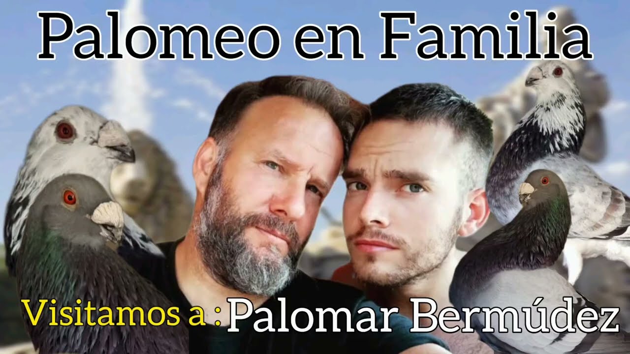 Paso a Paso veremos la selección de esta familia por el Buchón Jienenses. Visitamos Palomar Bermúdez