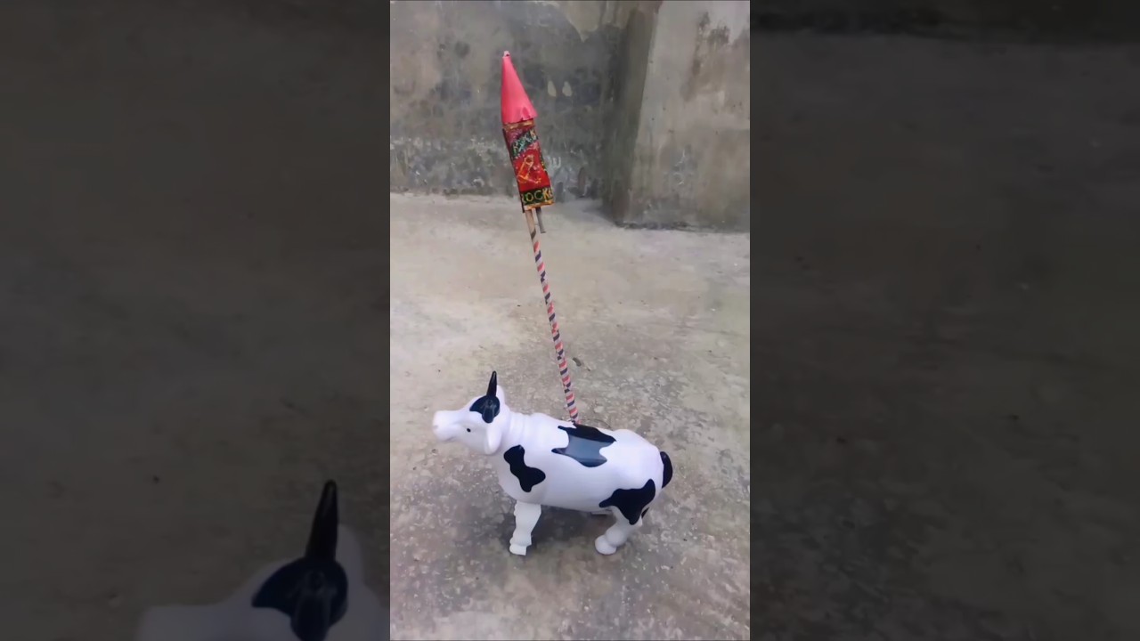 Cow Rocket 🐄🚀