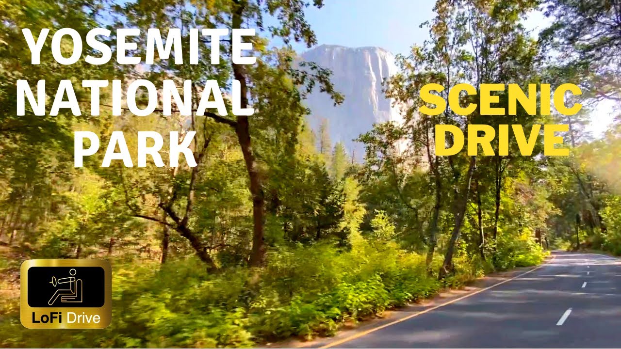 Drive with me ~ Scenic Drive with Nature sounds and Lofi Music ~Yosemite National Park (August 2021)