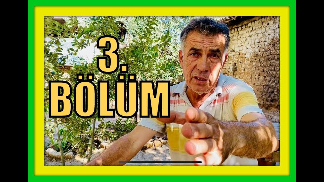 3.Bölüm TEPECİKLİ  İSMAİL USTA.Ağzına yüreğine sağlık.Aydın Tepecik.dönek güvercin pigeons