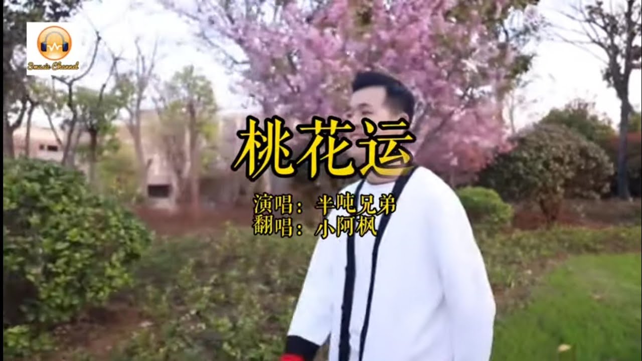 小阿枫 桃花运 完整版MV