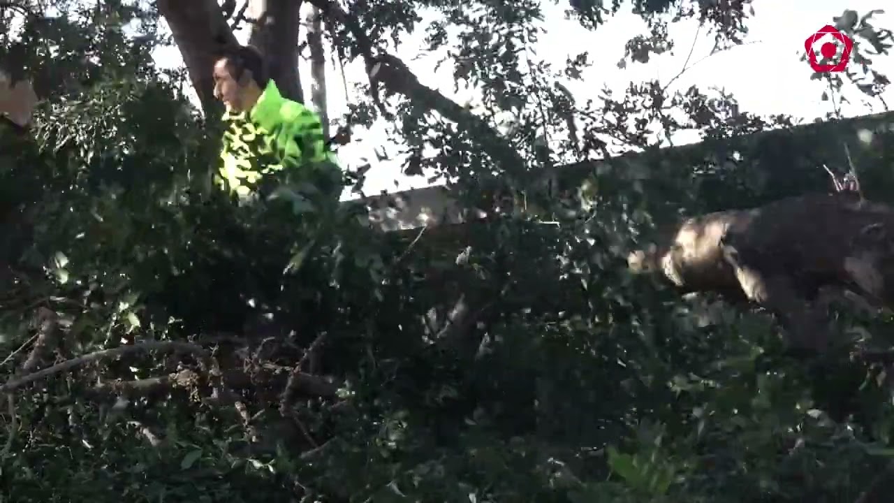 Alerta per vent al Camp de Tarragona