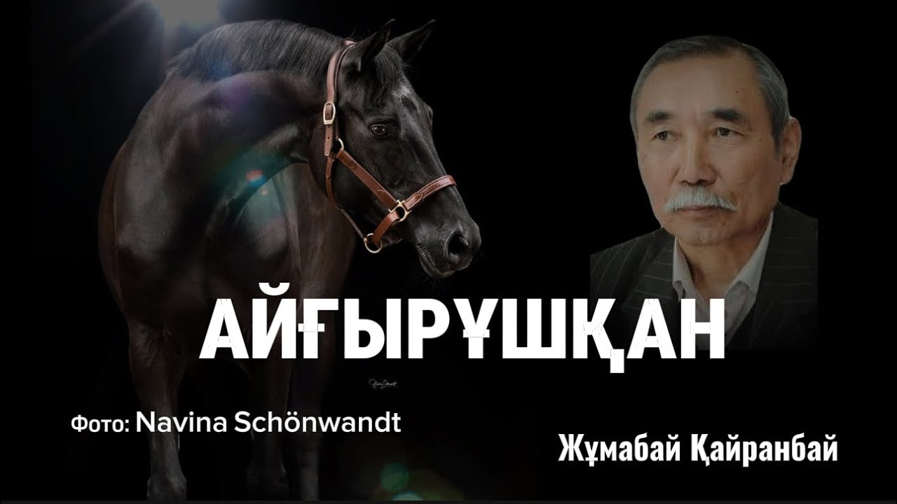 Байдың ақымақтығы… АЙҒЫРҰШҚАН