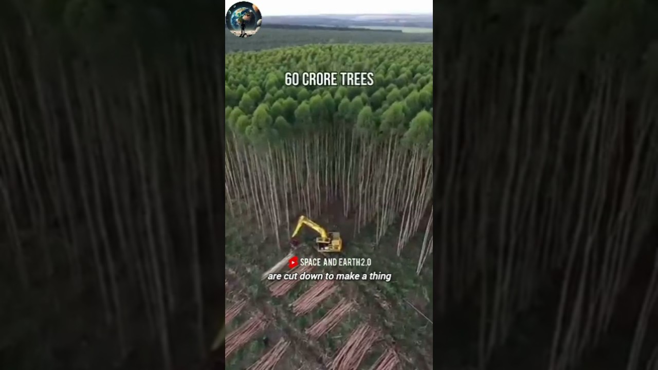 harmful effects of cutting trees 🌴 