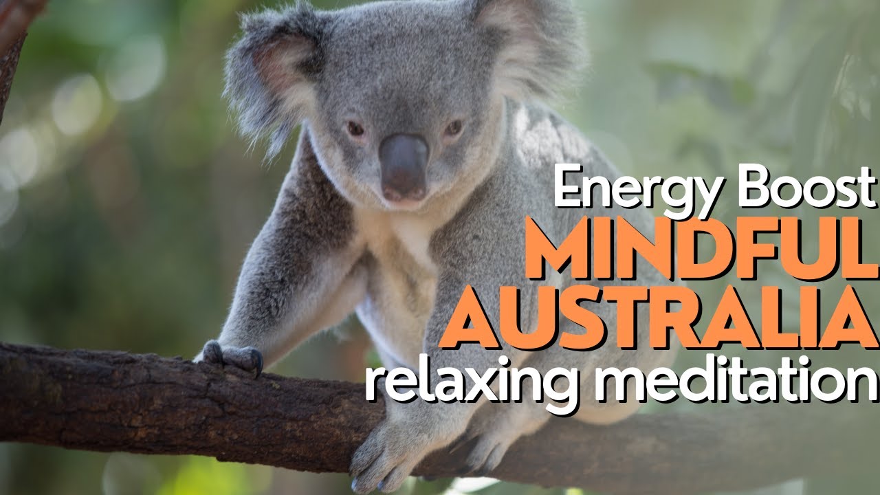 Relaxing and Soothing Australian Nature Videos to Let Your VIBRATIONS RUN HIGH