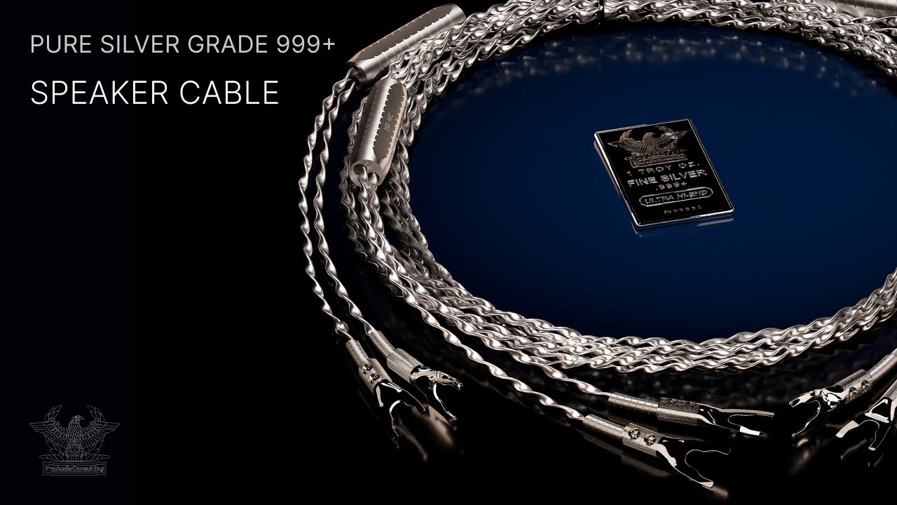 BEST Audiophile SILVER Balanced SPEAKER Cable | High End AUDIO