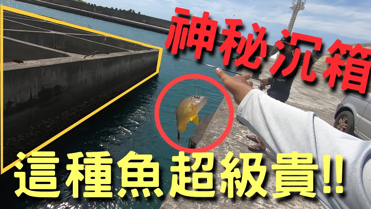 探釣小港口的神秘沉箱，沒想到居然藏著超貴的高級魚?! | 2020/07/01