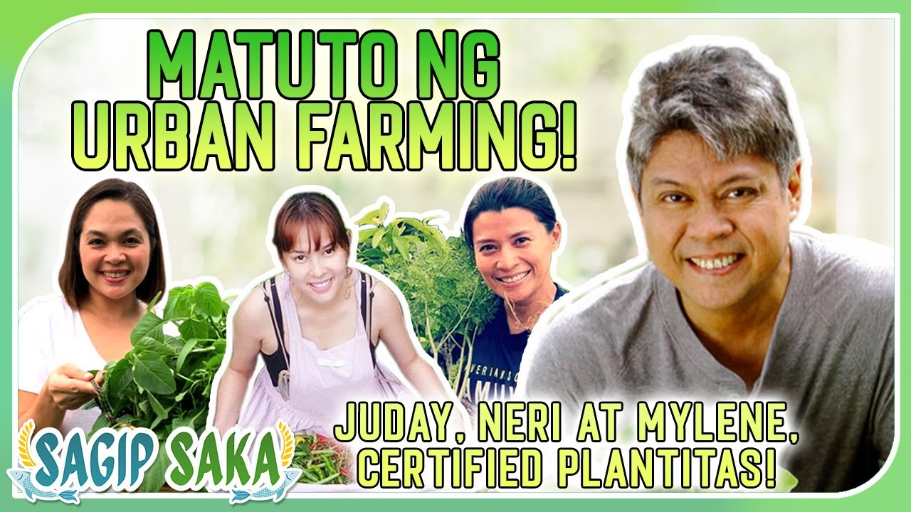 Matuto ng Urban Farming with KIKO, JUDAY, NERI at MYLENE! |  Sagip Saka