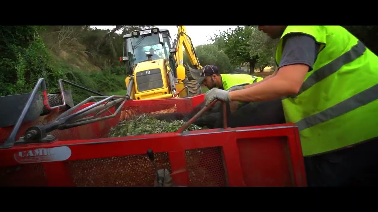 Video corporativo Sociedad Cooperativa Andaluza Sierra de la Pandera
