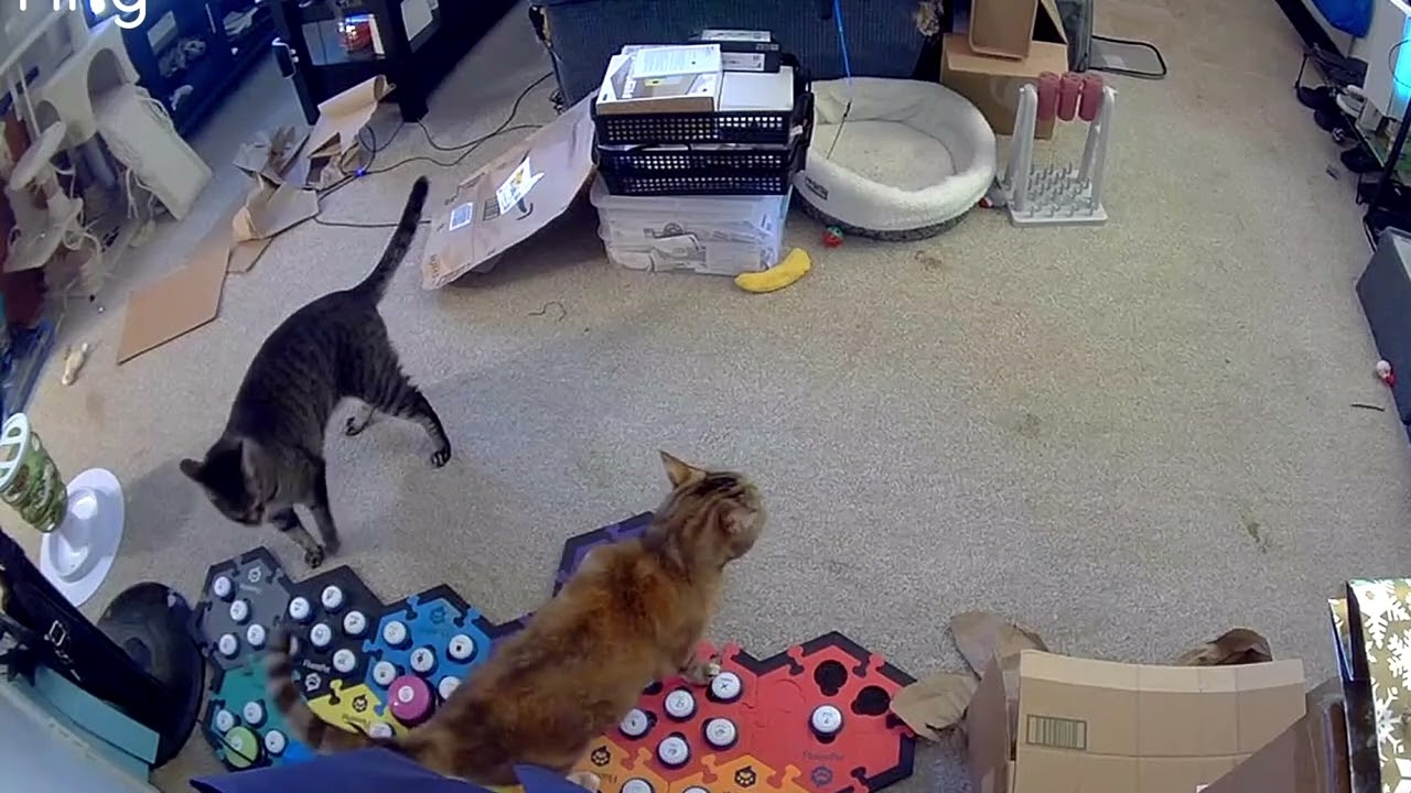 Até asks for tape and food