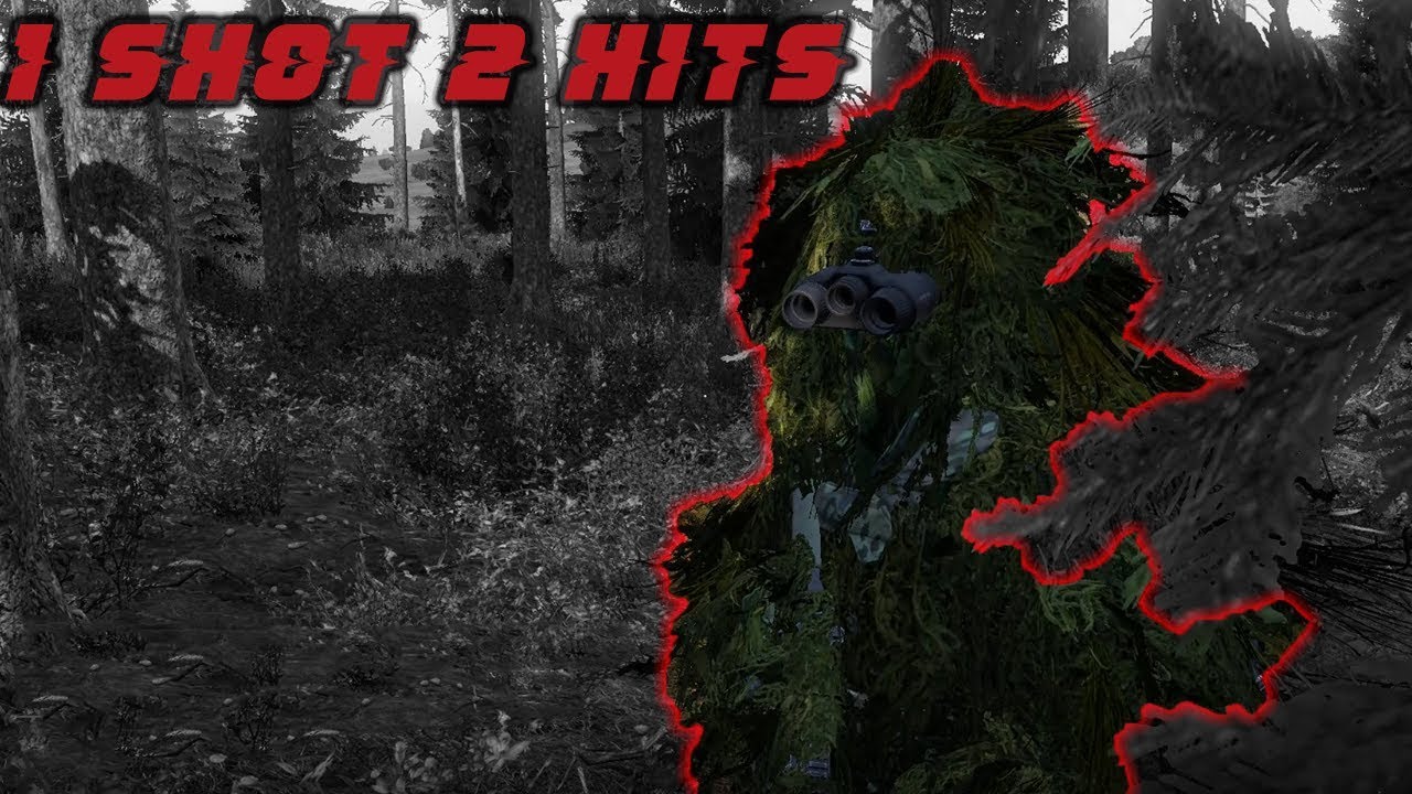 1 SHOT 2 HITS! Ghillie Sniper Duo + M1A Socom Combat DayZ