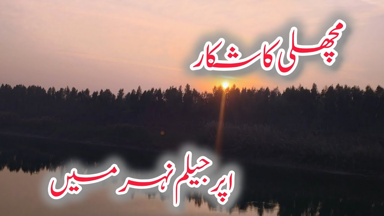Upper Jhelum Canal  |Best Fishing Points in Mandi Bahauddin |2026