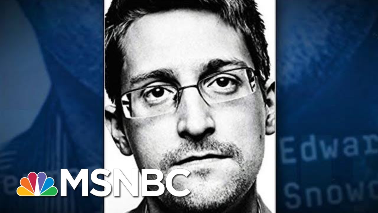 Edward Snowden: I Never Wanted To Destroy The NSA, I Wanted To 'Reform It' | The 11th Hour | MSNBC