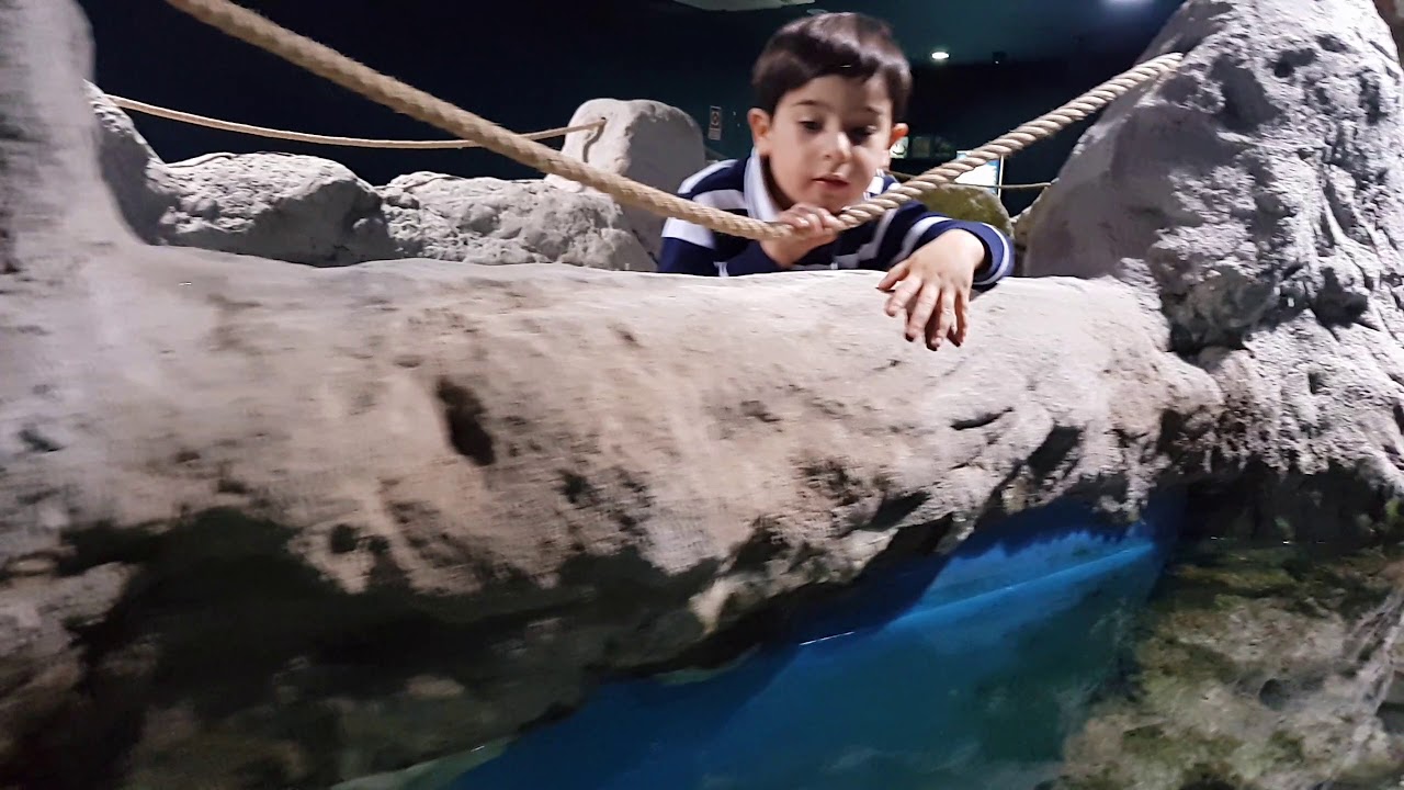 Visita al Acuario de Fauna Mediterránea de Almuñécar