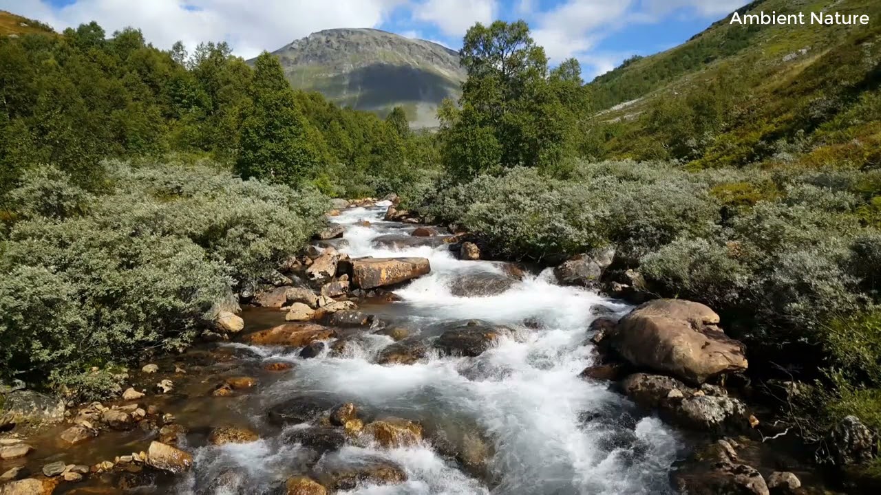 River water flowing over rocks!