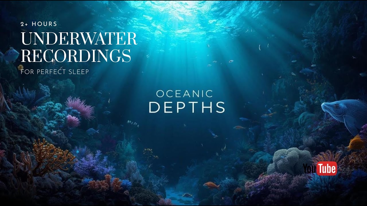 The Ocean's Hidden Chorus: Hydrophone Recordings (ASMR)