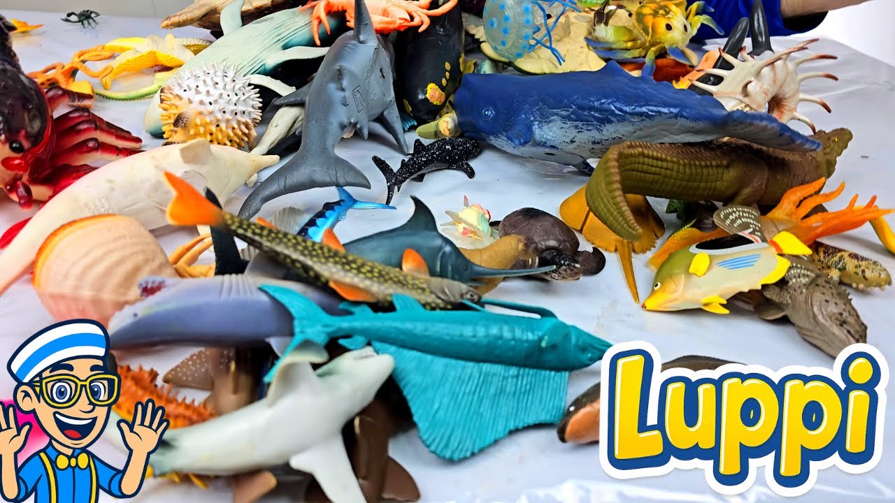 Aprenda sobre Animais Marinhos com Luppi