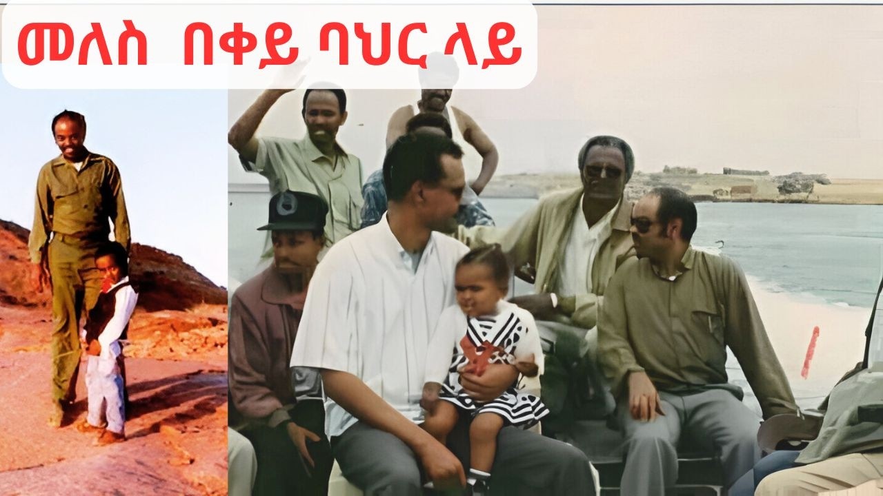 መለስ የሚወዱት የቀይ ባህር ሽርሽር
