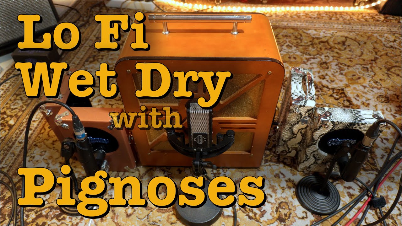 Wet Dry Rig with Pignoses - #212 Doctor Guitar