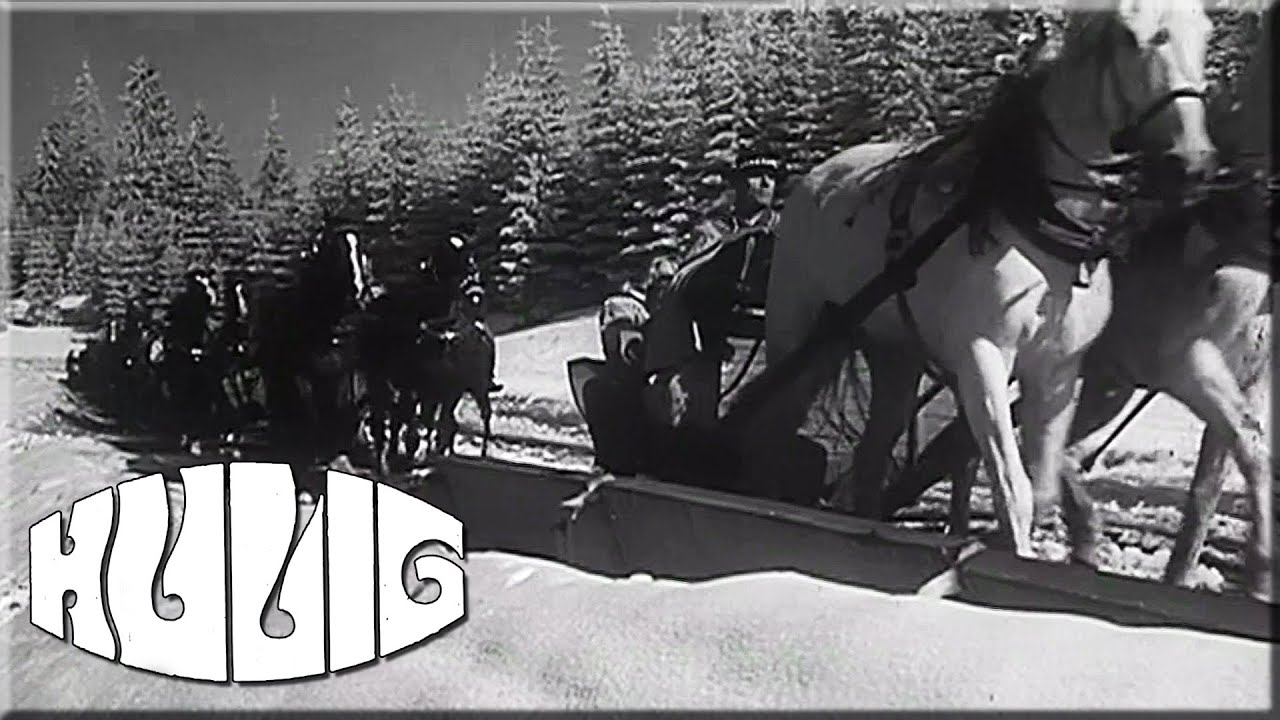Kulig 1968